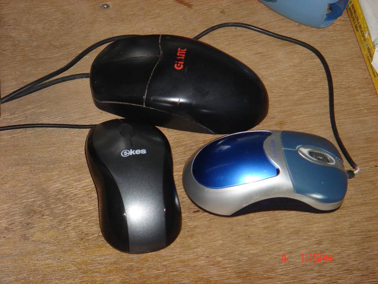 I Used To Have Three Mice For My PC